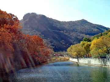 新澳天天开奖资料大全旅游团，发光衣服